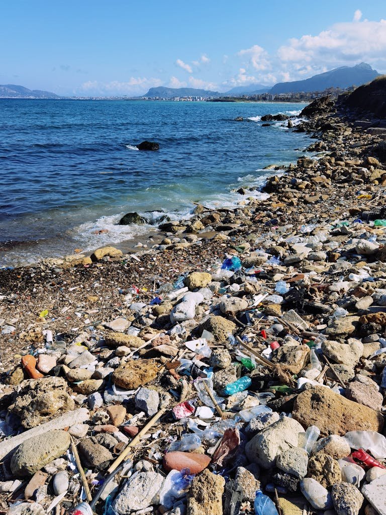 Plastic waste and debris litter a rocky beach in Sicily, highlighting environmental pollution.